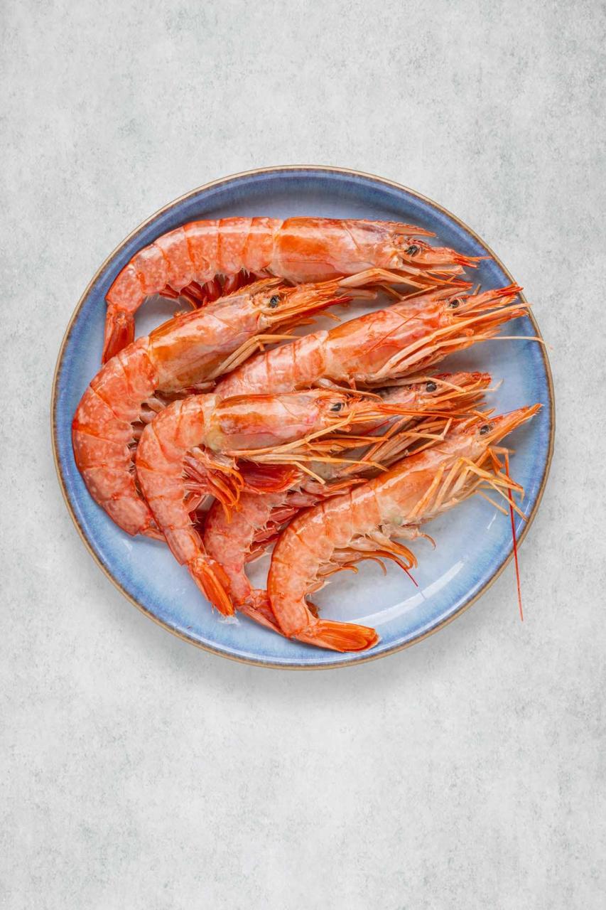 whatsapp image 2026 02 27 at 12.01.29 pm